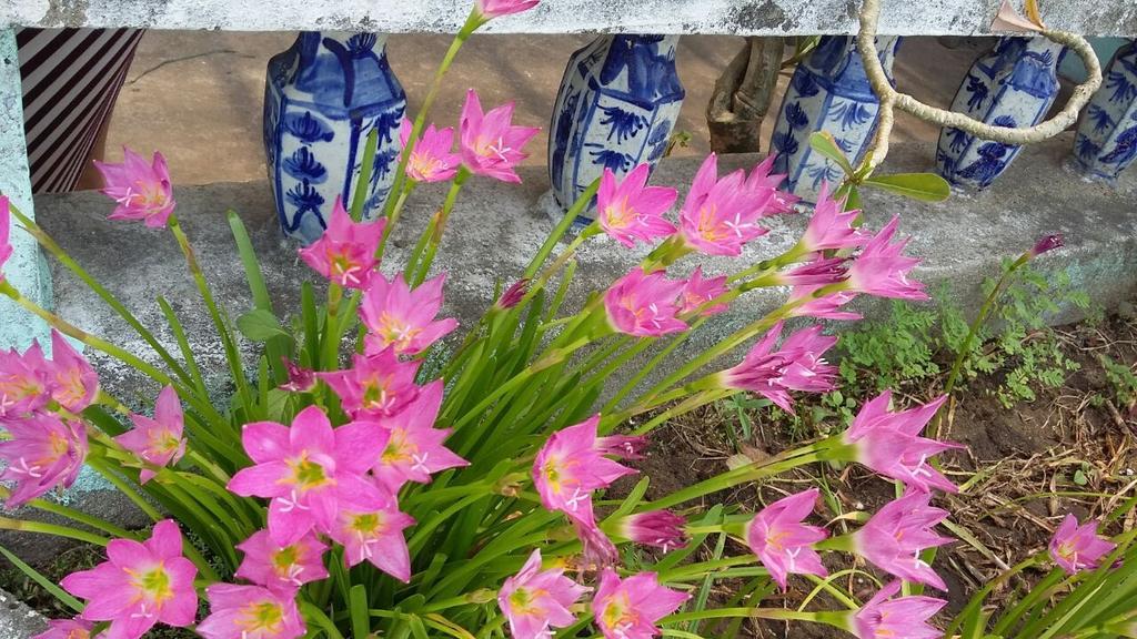Center Homestay ฮอยอัน ภายนอก รูปภาพ